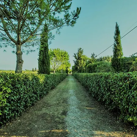 Podere Simonetta - A5 Cecina (Livorno)