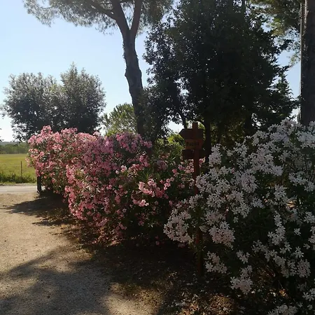 Hébergement de vacances Podere Simonetta - A5 Cecina (Livorno)